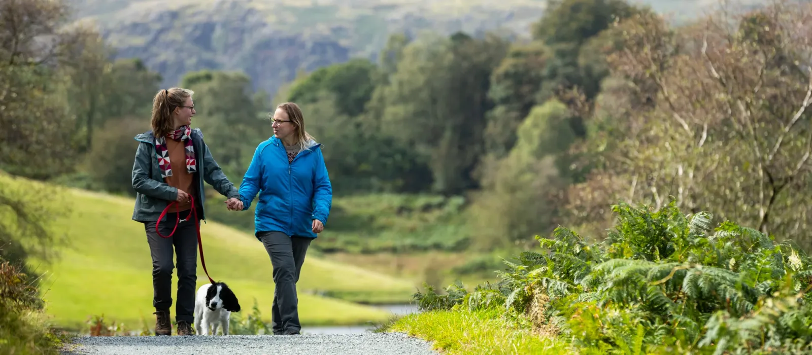 Two visitors walking a dog on a path at Tarn Hows in Cumbria