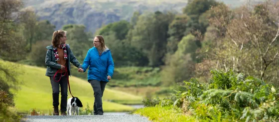 Two visitors walking a dog on a path at Tarn Hows in Cumbria