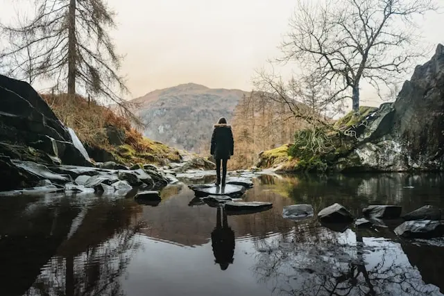 Woodland pool