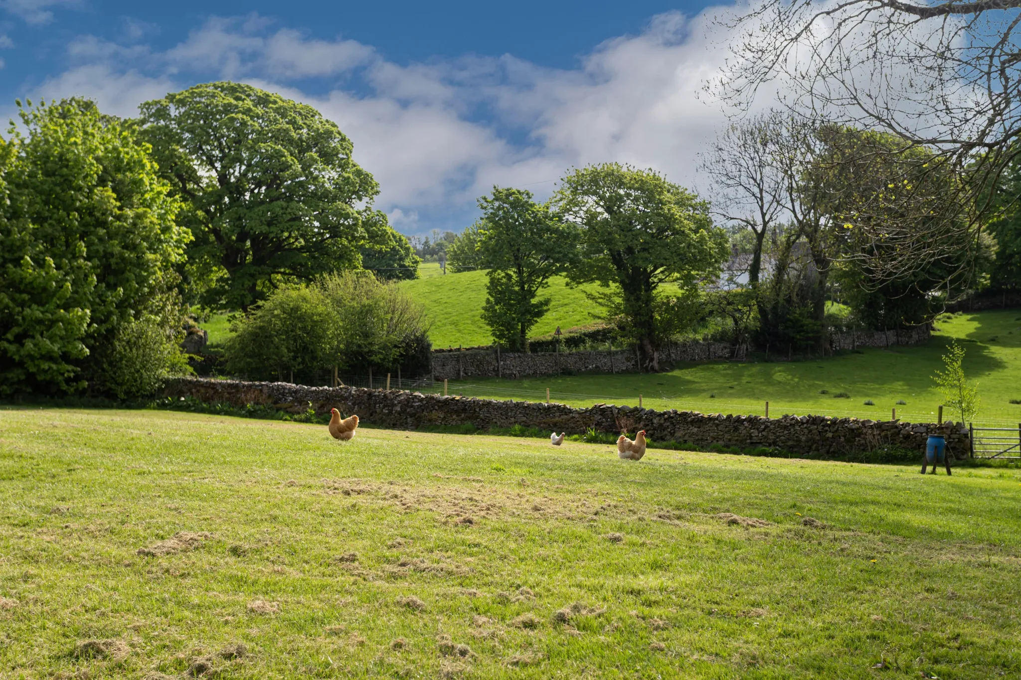 Lake District countryside views